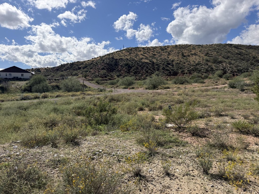 Picture 6