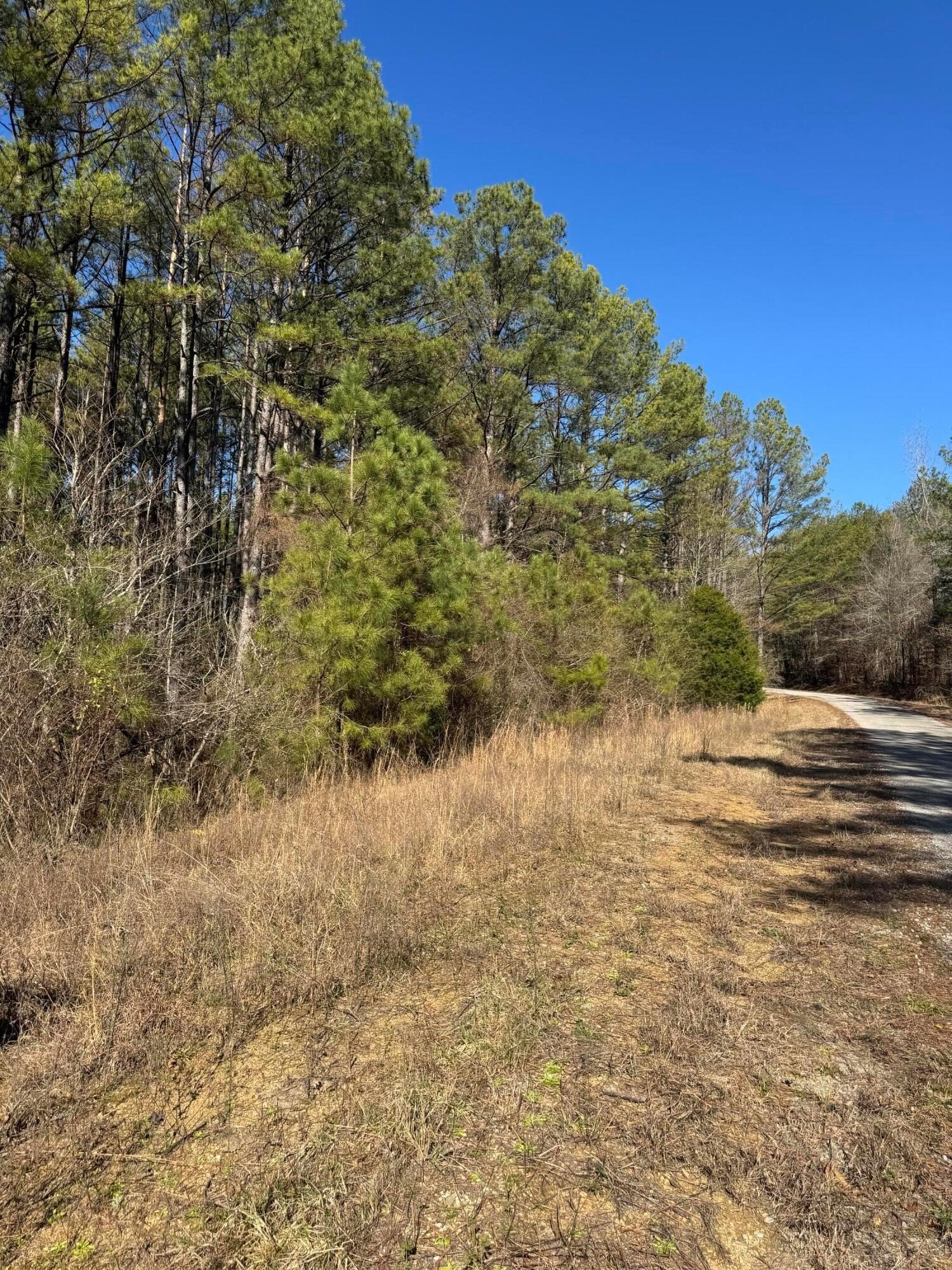Secluded Land for Hunting