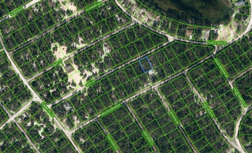 Land For Sale Lake Placid