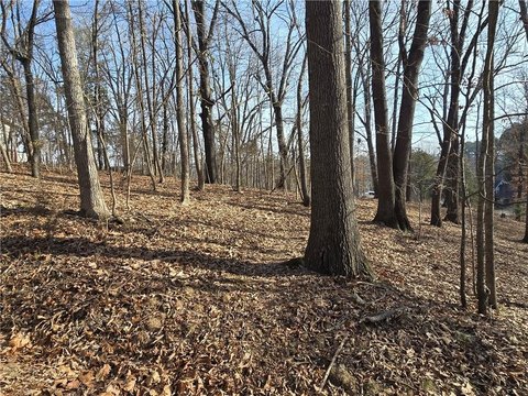 Wooded Lot Near Beaver Lake