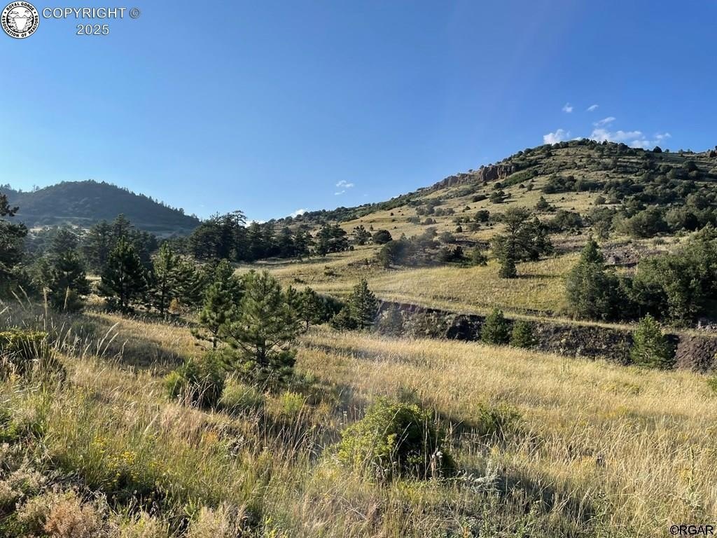Land in Gated Canon Community