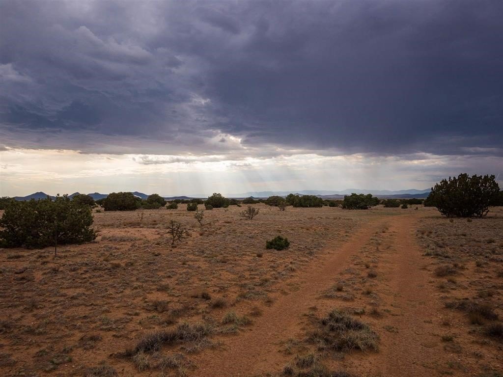 Picture 8