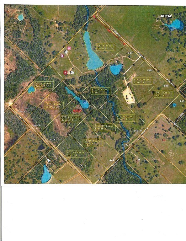 Picture 11