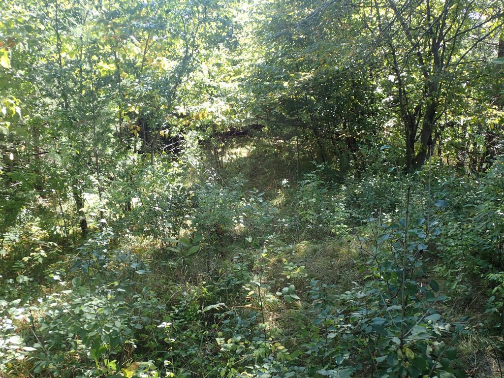 Picture 28