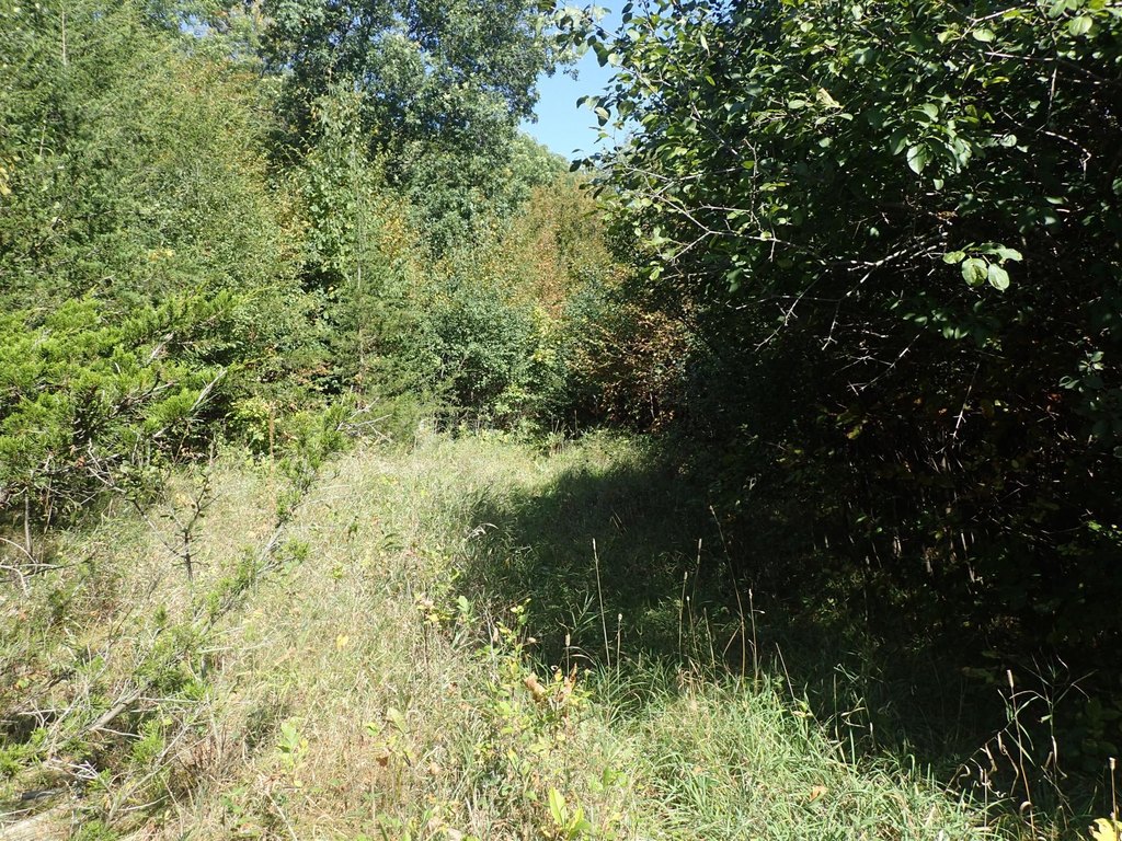 Picture 32