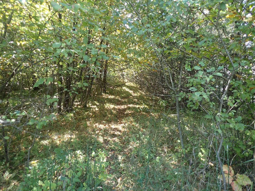 Picture 26