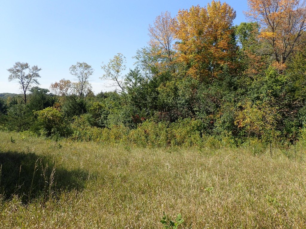 Picture 14