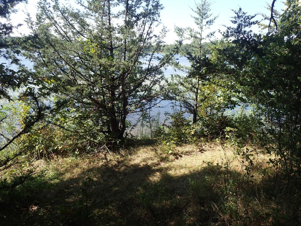 Picture 7