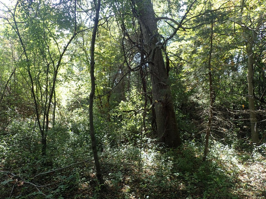 Picture 17