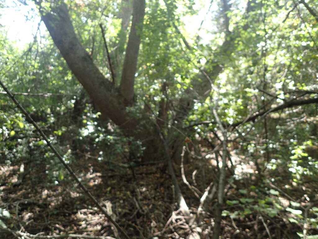 Picture 18