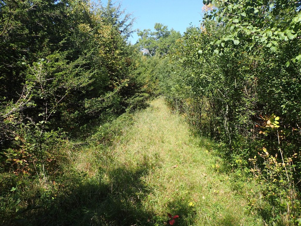 Picture 31
