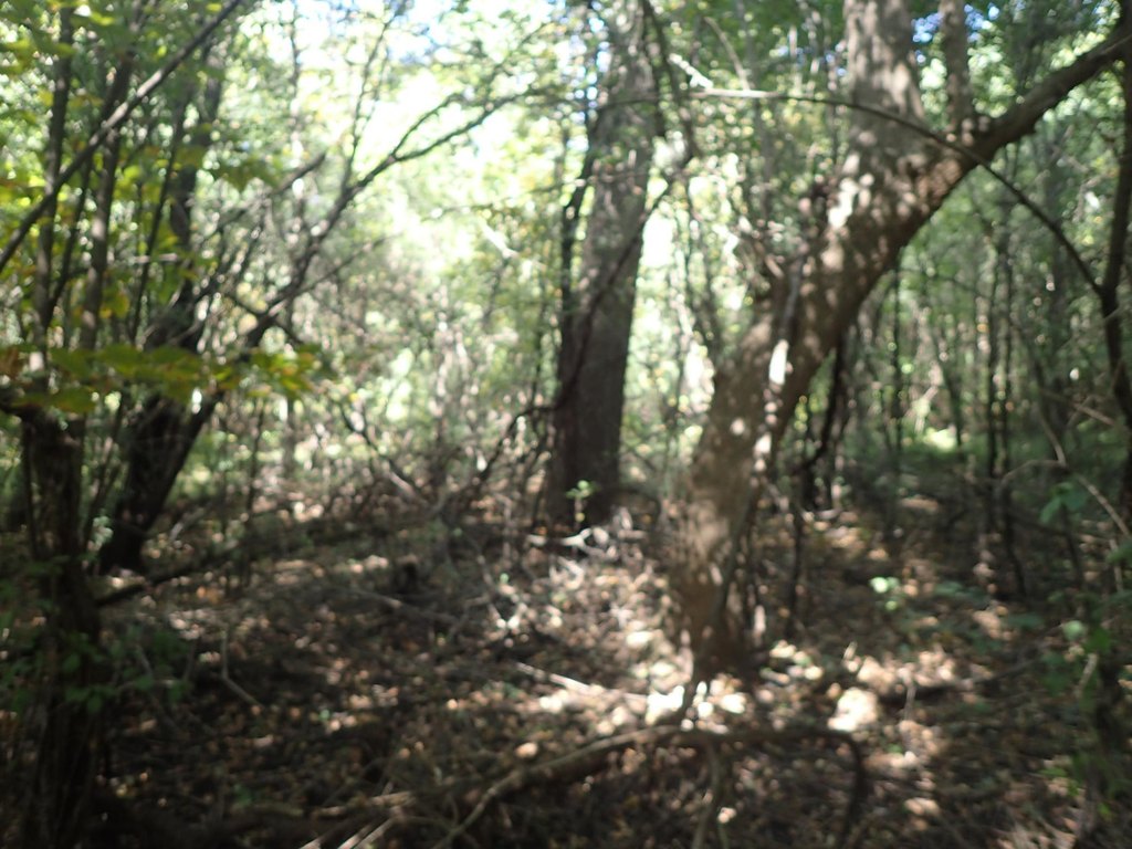 Picture 19