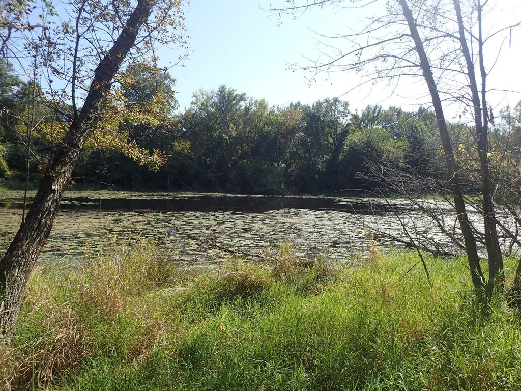 Picture 30