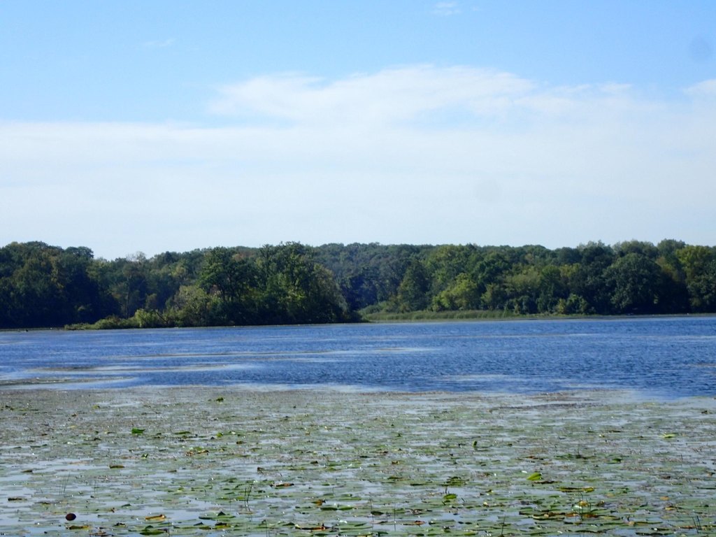 Picture 24