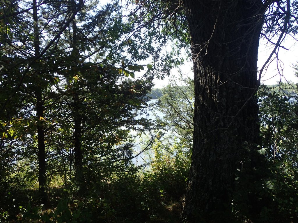 Picture 4
