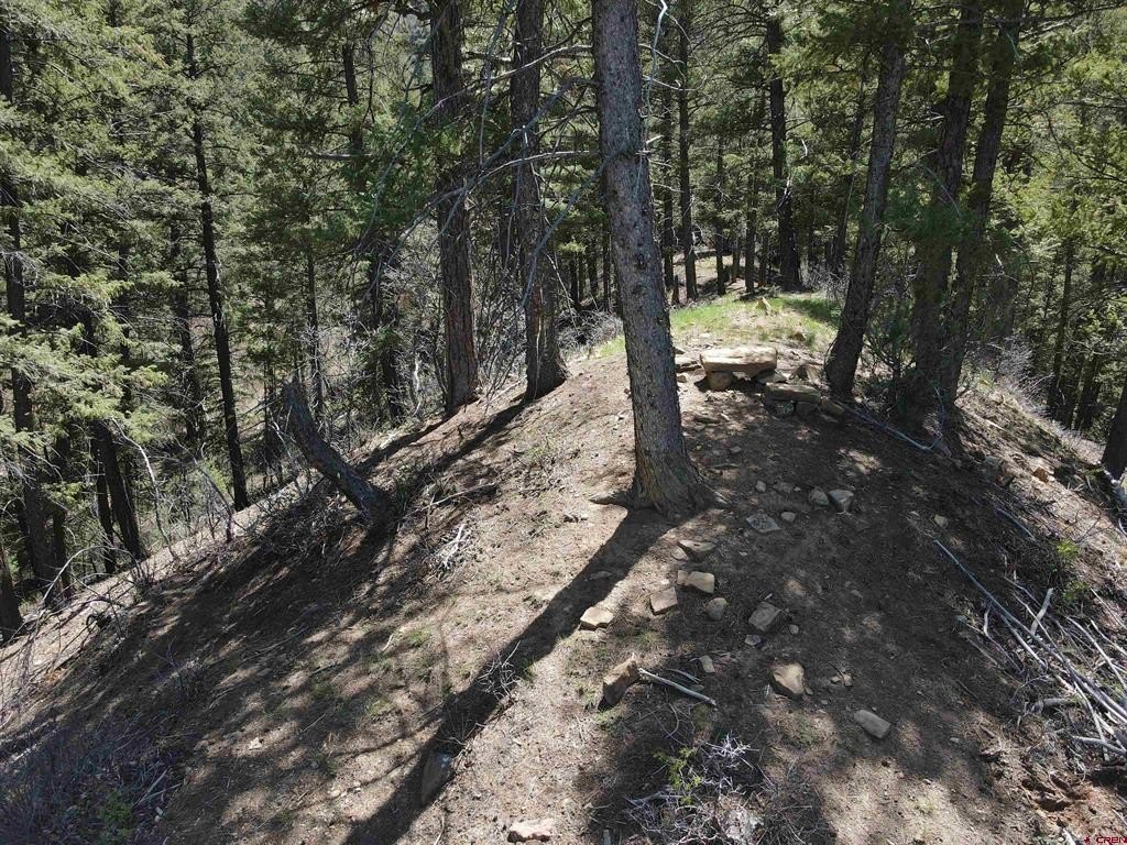 Picture 4