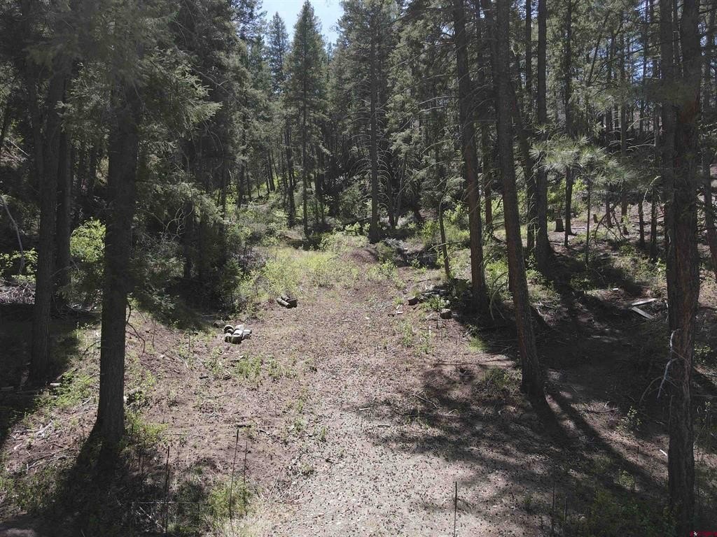 Picture 15