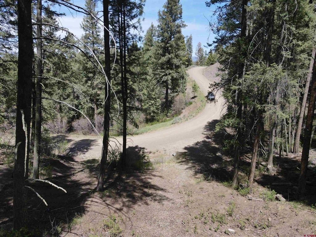 Picture 12