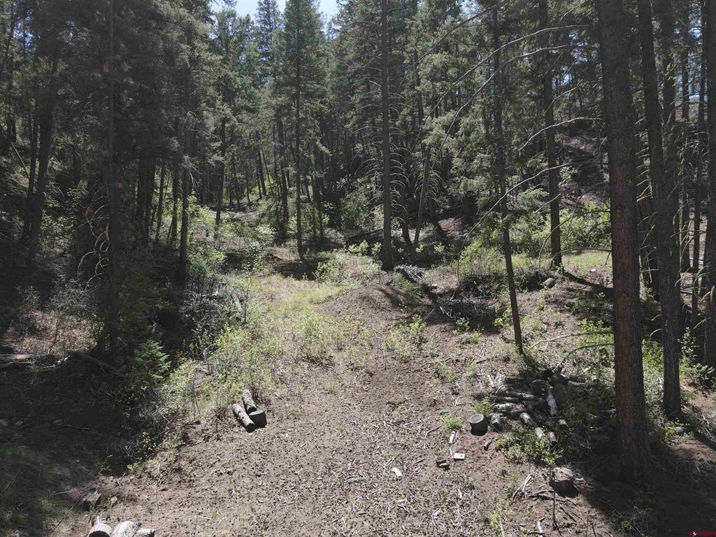 Picture 14
