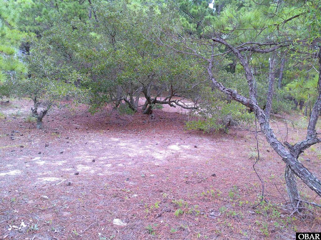 Picture 7