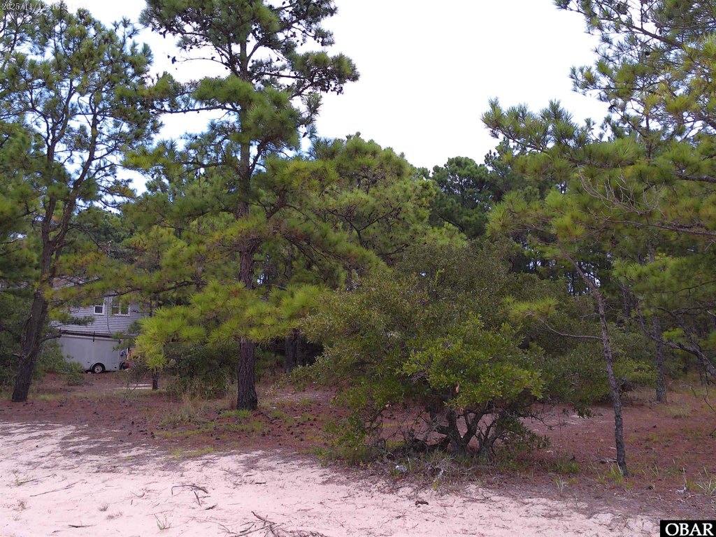 Picture 5
