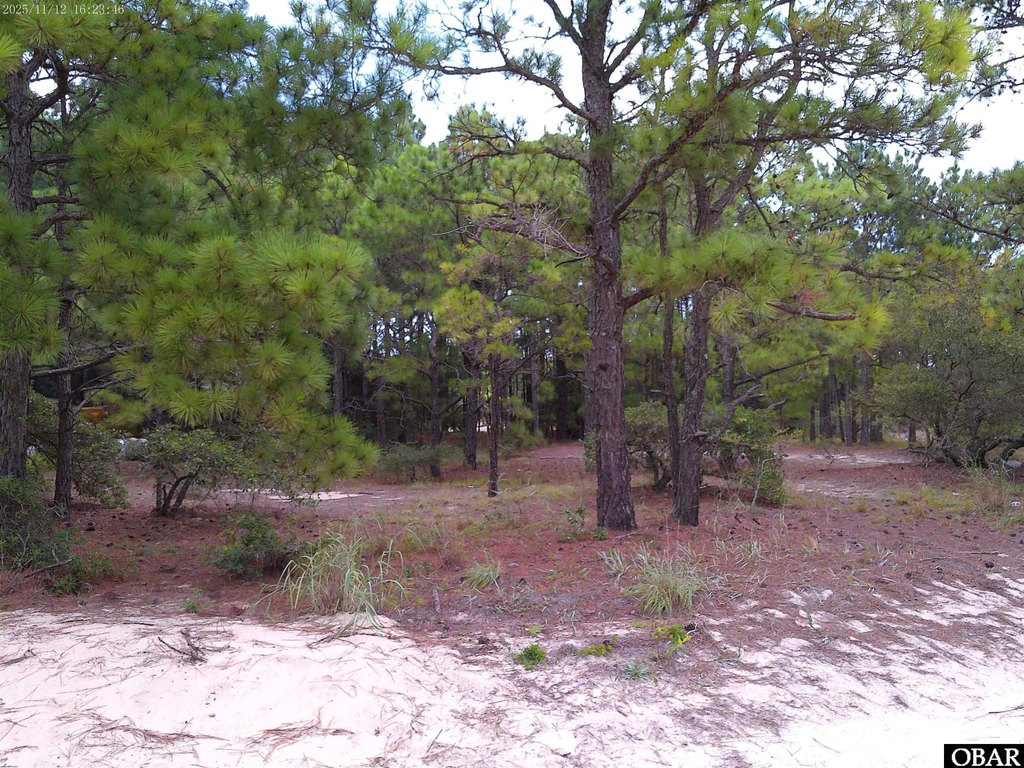 Picture 3