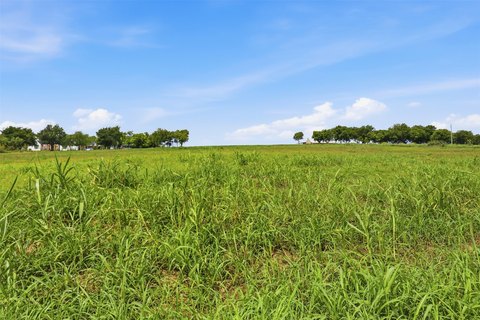 Agricultural Land with Pasture