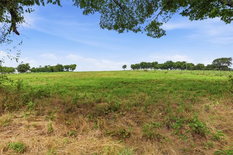 Agricultural Land with Pasture