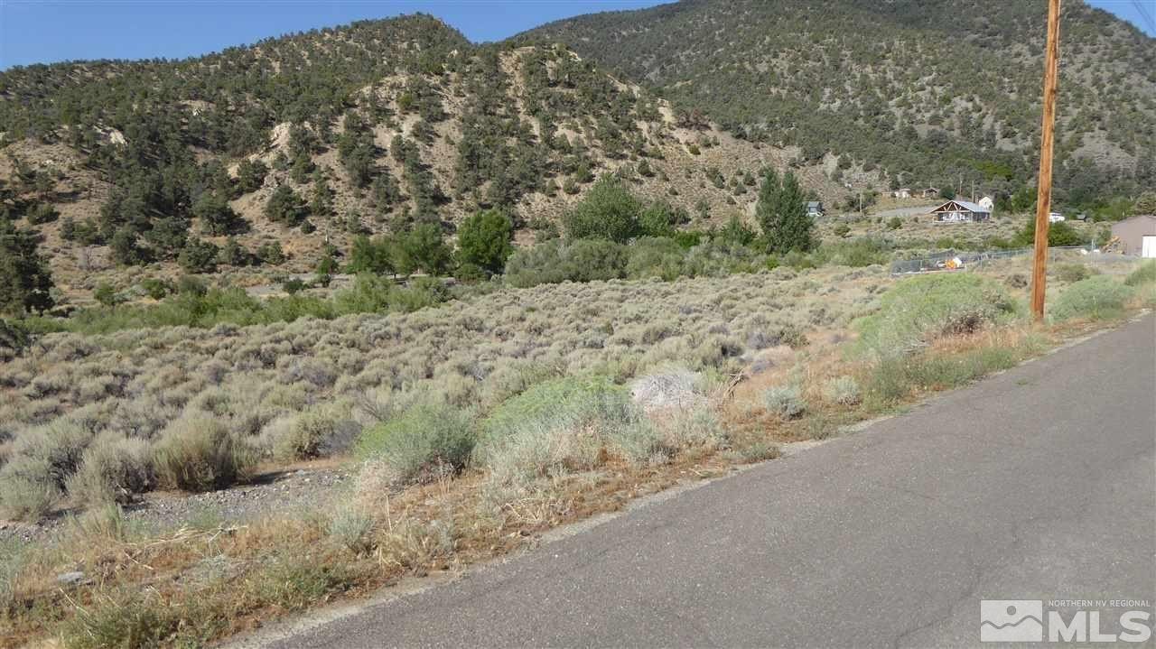Kingston, Nevada Land For Sale