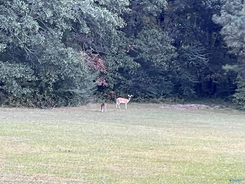 Decatur Land for Development