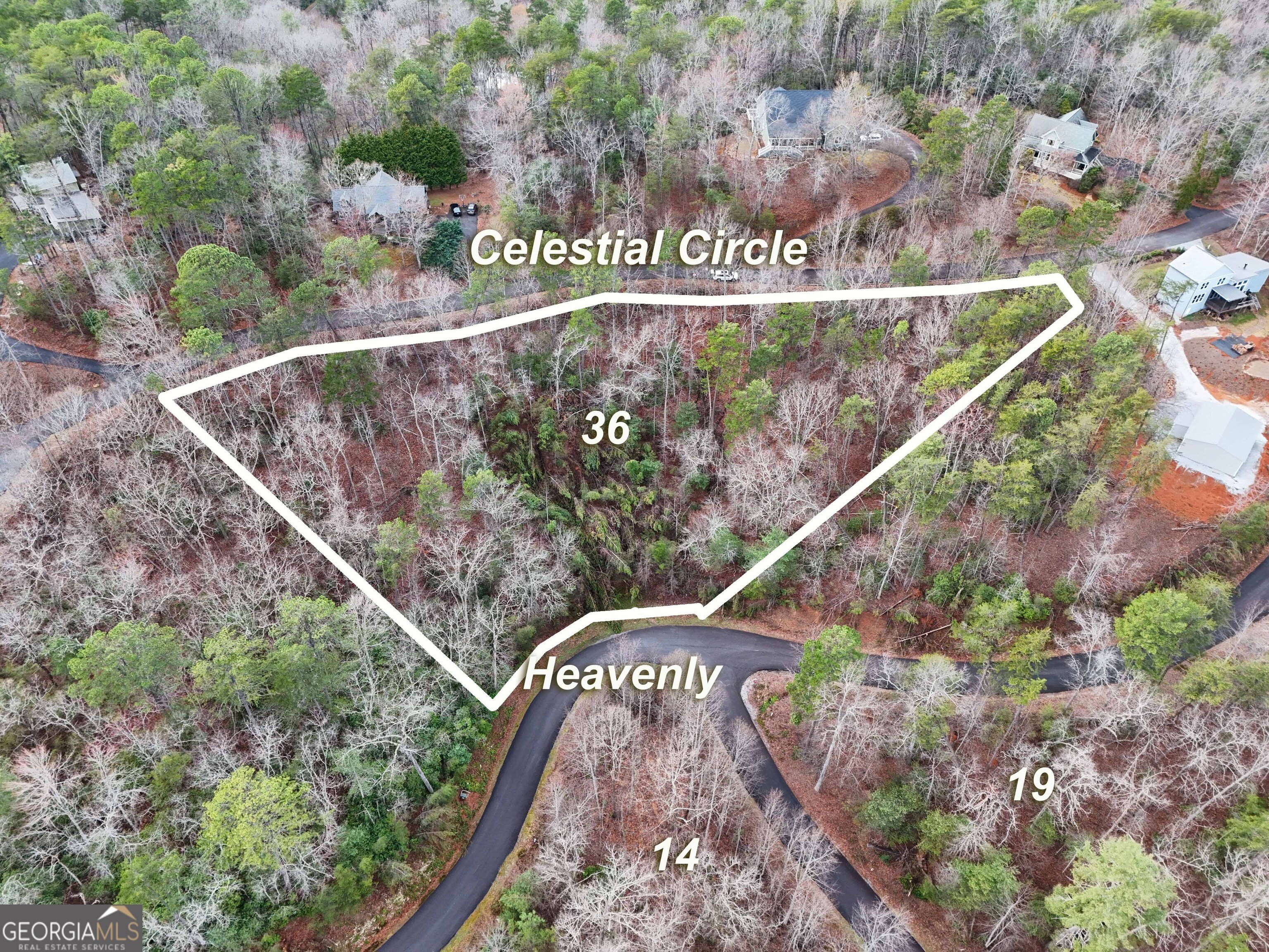 Wooded Land in Clayton, Georgia
