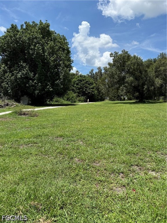 Picture 3