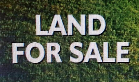 40 Acres Near Dismals Canyon