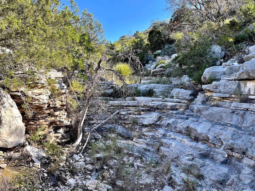 Picture 25