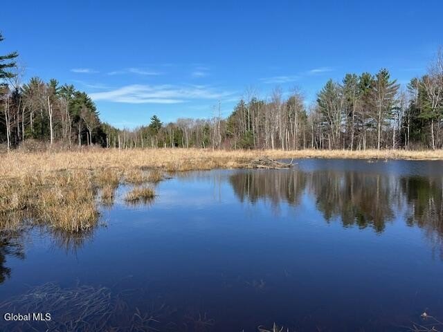 Sloansville Land with Scenic Pond