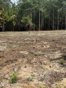 Land, Waynesboro, GA