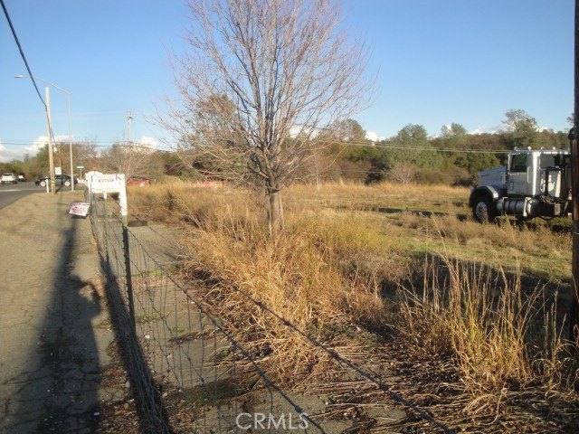 Picture 3