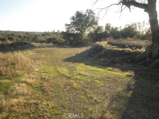 Picture 10