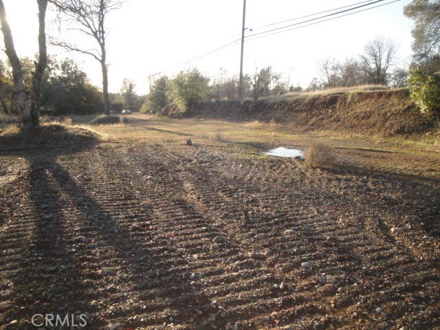 Picture 12