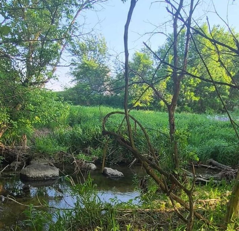 Picture 9