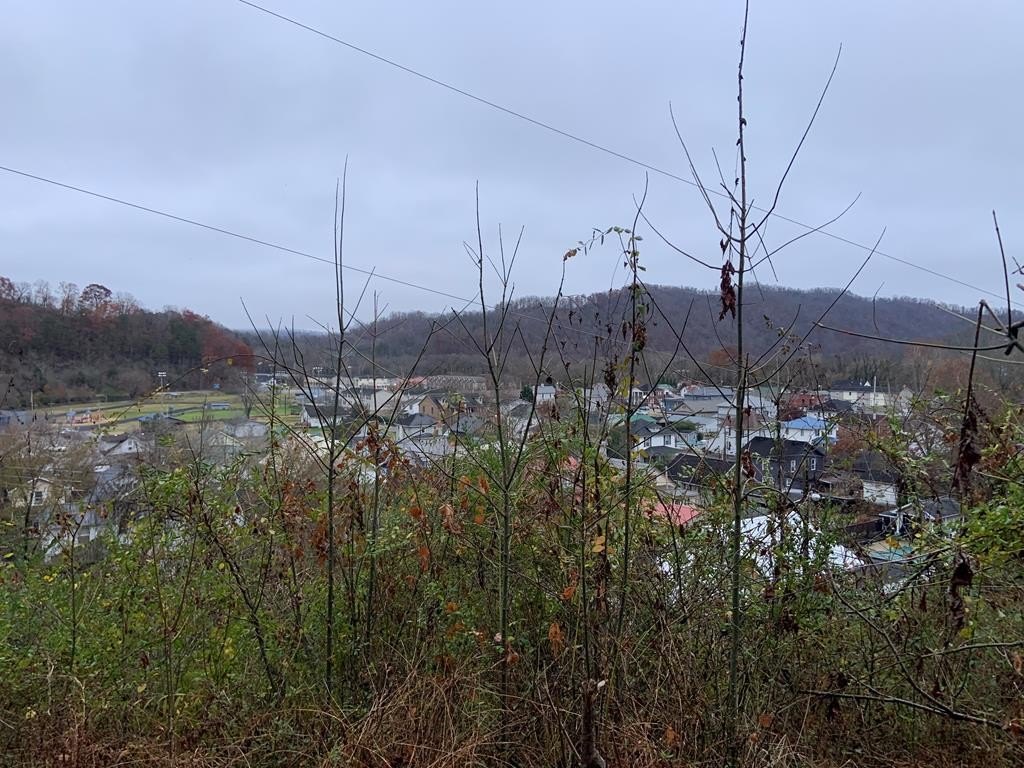 Residential Land in Paintsville, KY