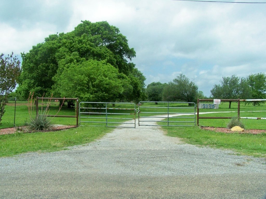 Picture 8