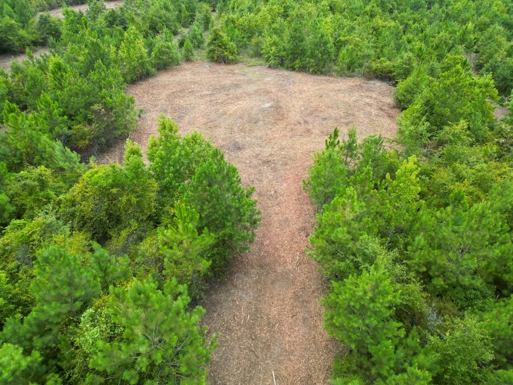 Picture 4