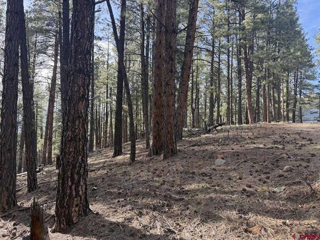 Land For Sale, Bayfield, CO