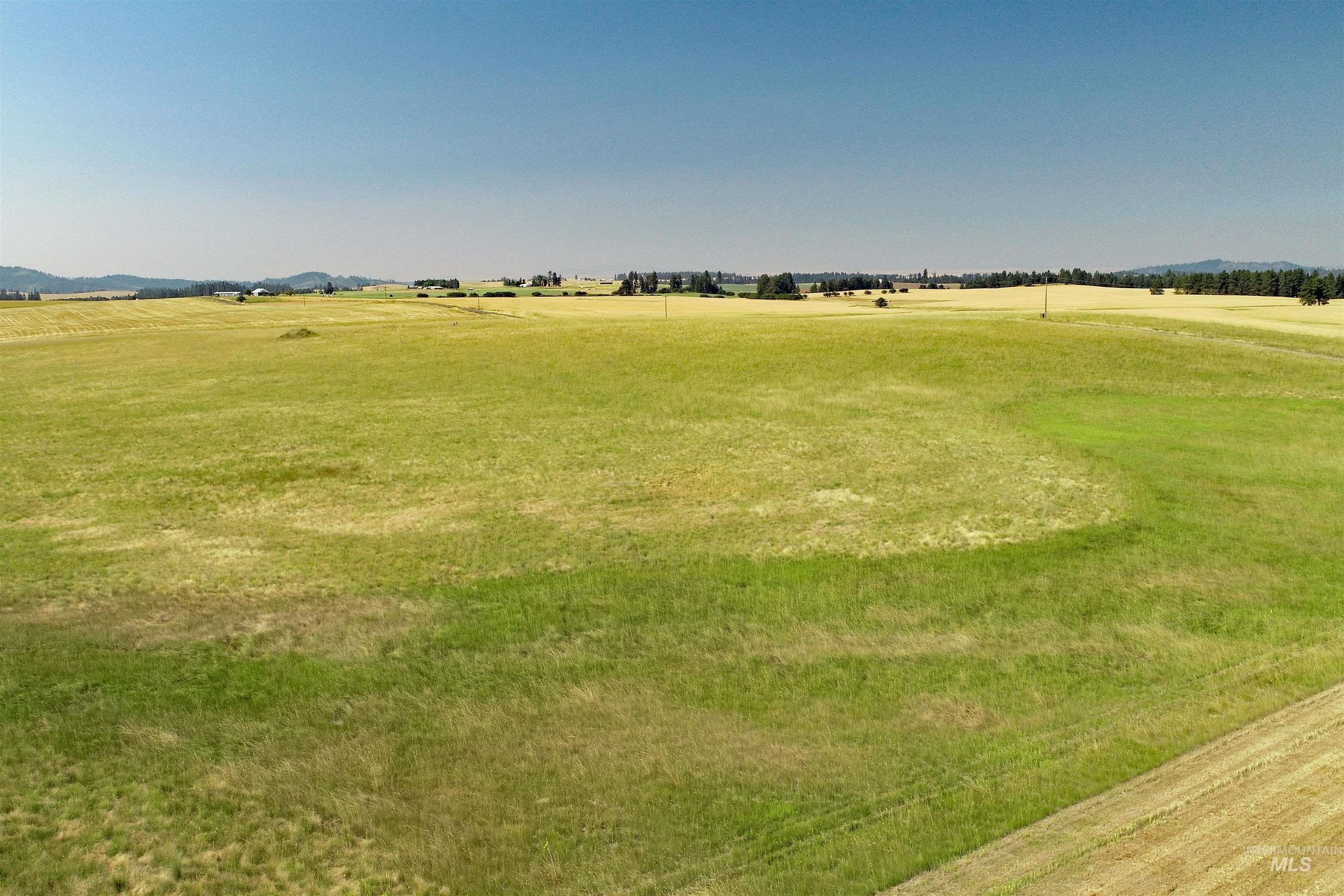 Orofino Land with Development Potential