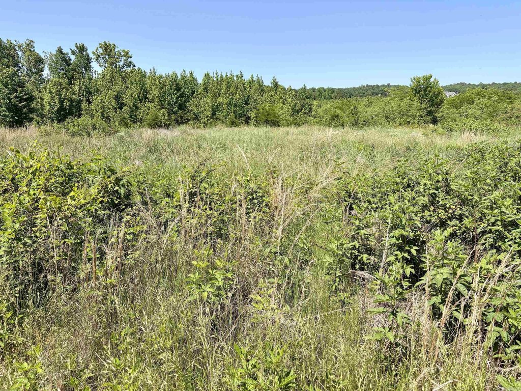 Picture 27