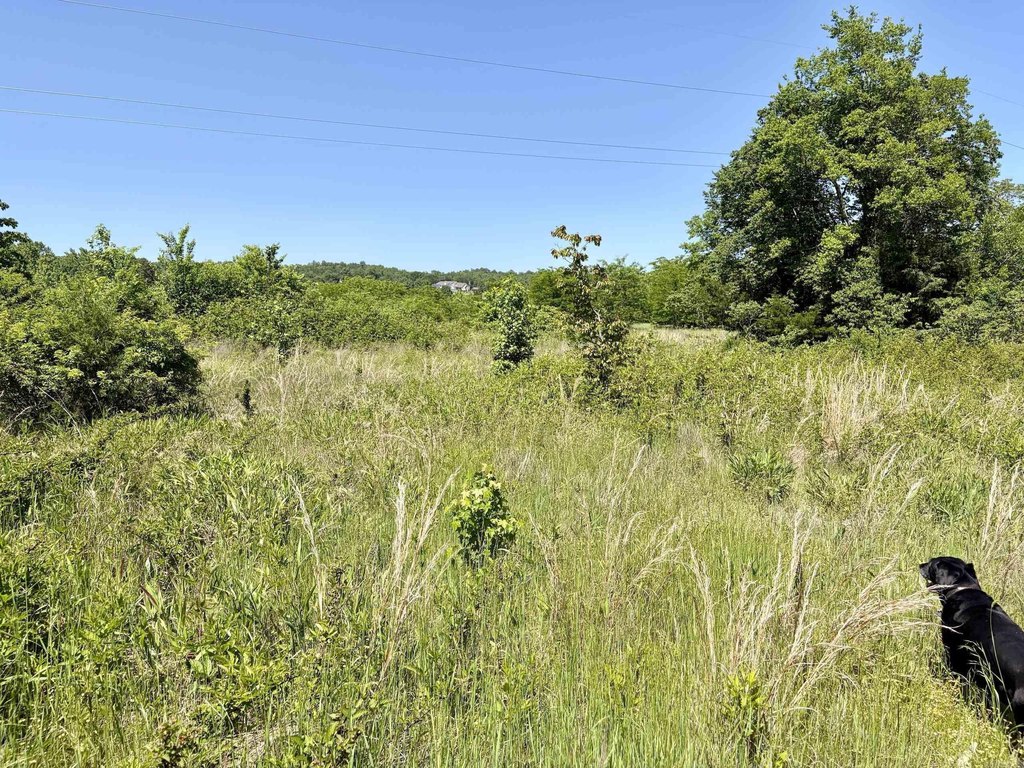 Picture 26