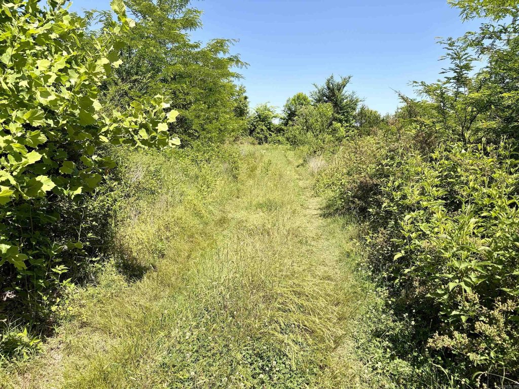 Picture 46