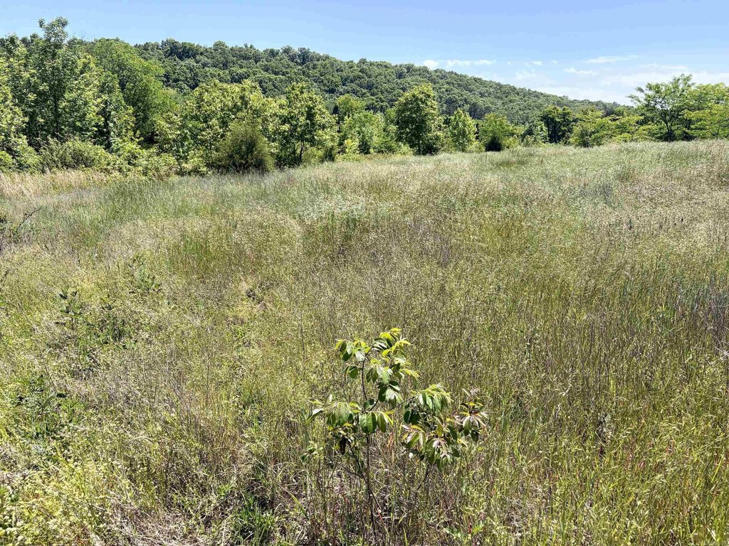 Picture 22