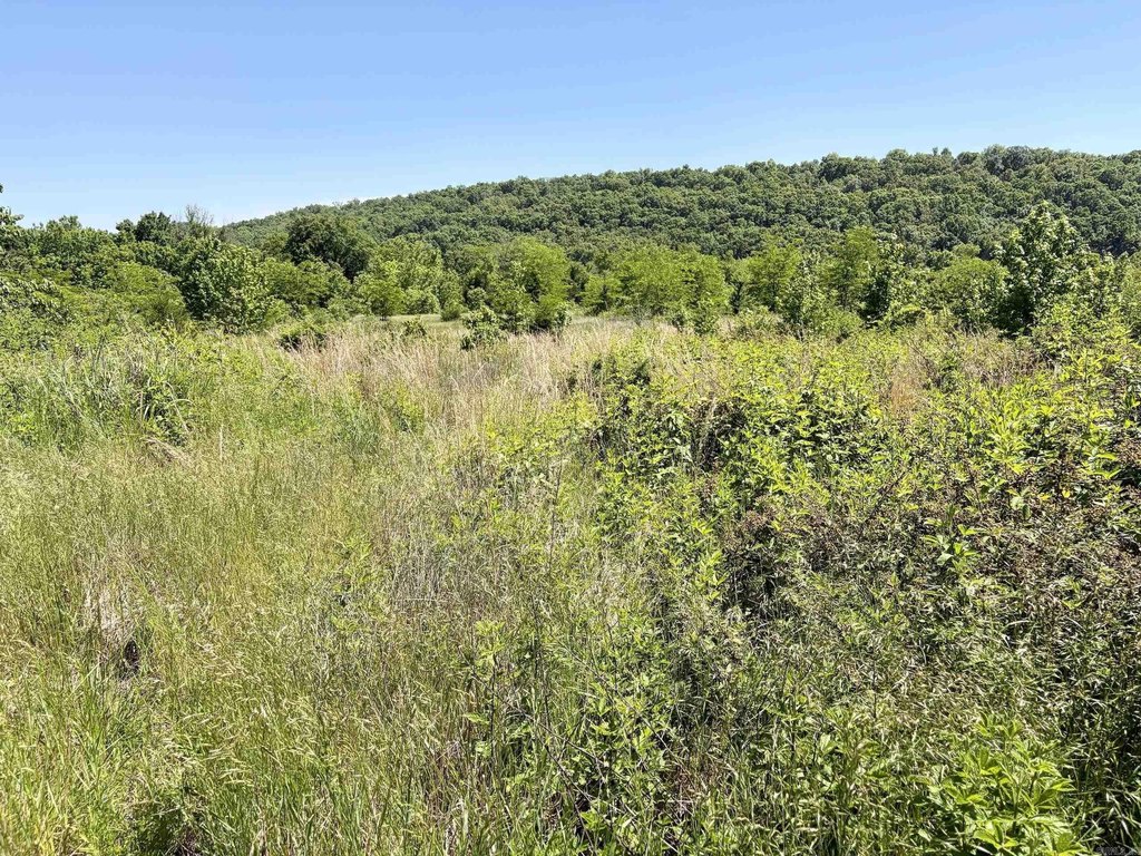 Picture 28